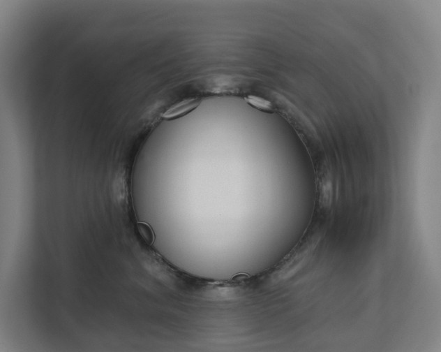 X0000111930620200908101143