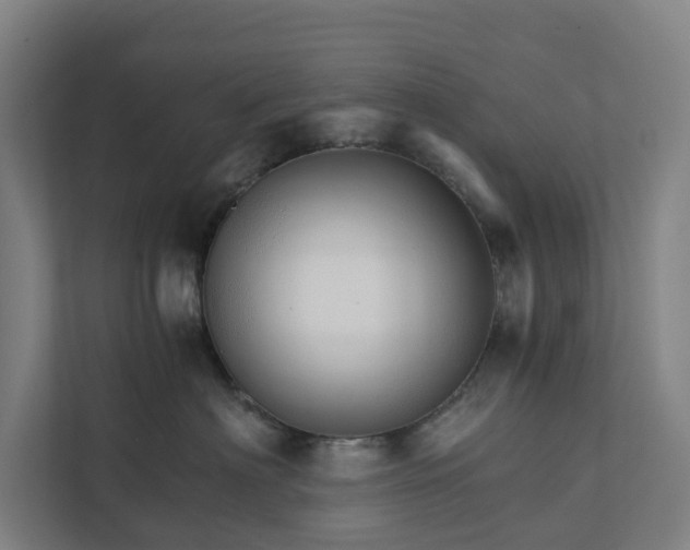 X0000111930622200908101143