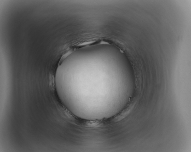 X0000111930624200908101143