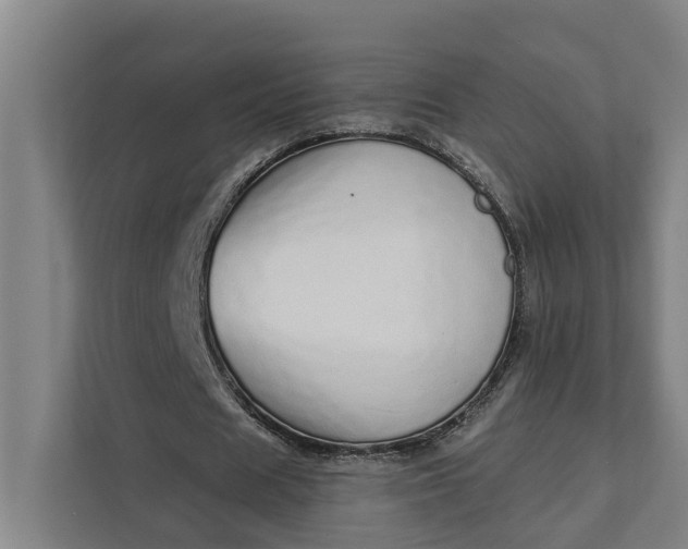 X0000111930625200908101142