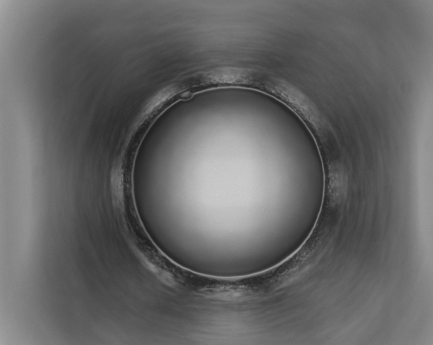 X0000111930626200908101142