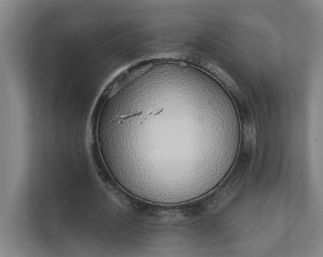 X0000111930628200908101142