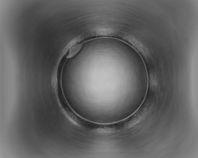 X0000111930630200908101142