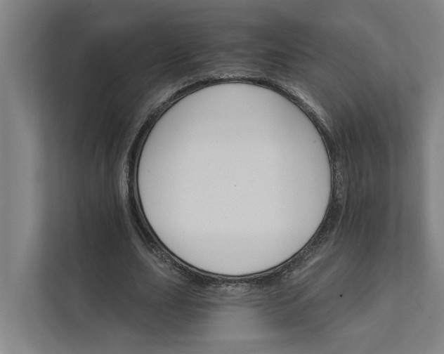 X0000111930631200908101142