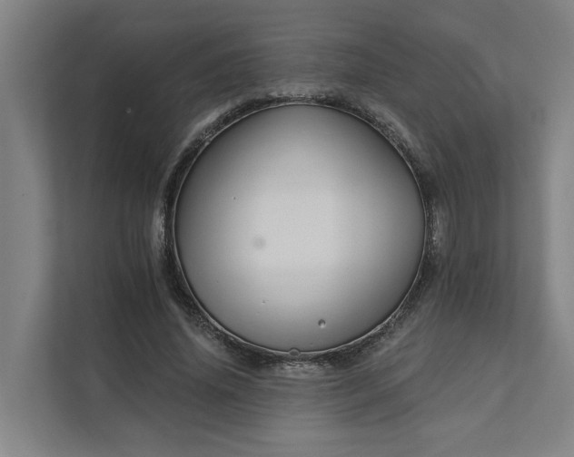 X0000111930636200908101142