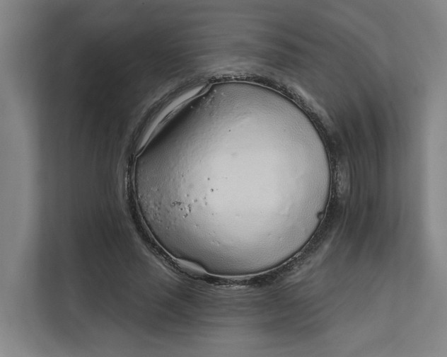 X0000111930637200908101142