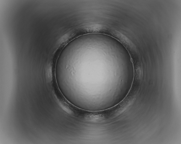 X0000111930638200908101142