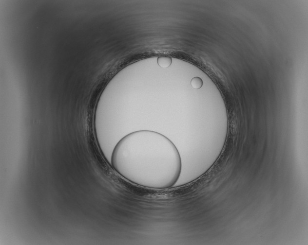 X0000111930639200908101142