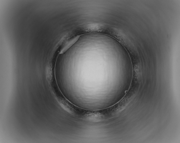 X0000111930642200908101142