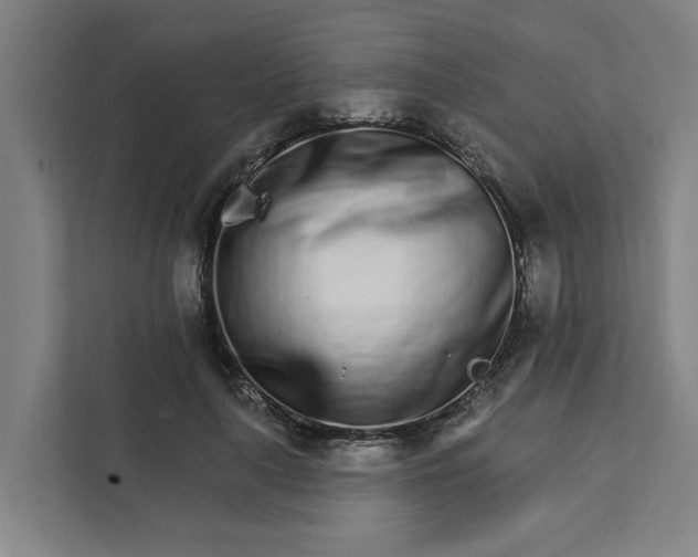 X0000111930643200908101142