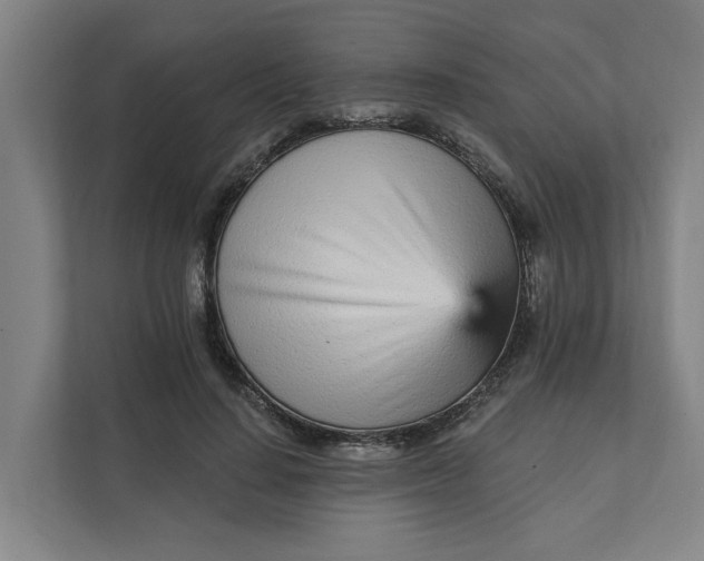 X0000111930644200908101142