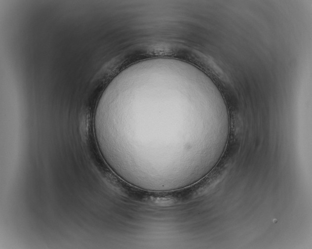 X0000111930645200908101142