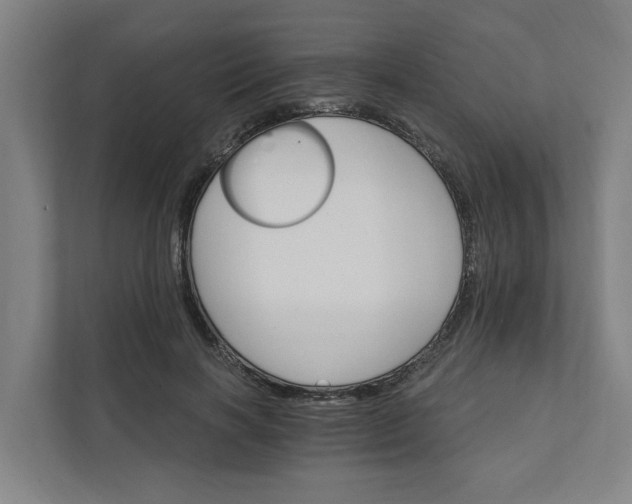 X0000111930646200908101142