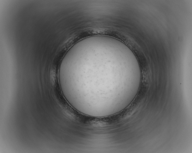 X0000111930648200908101143