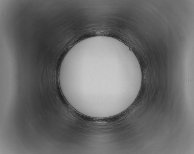 X0000111930650200908101143