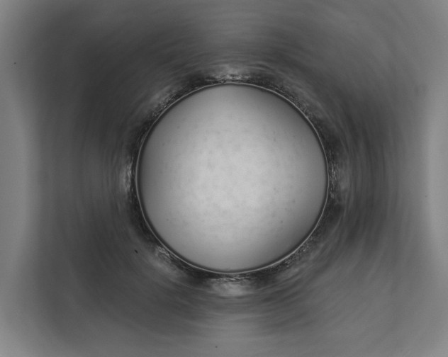 X0000111930652200908101143