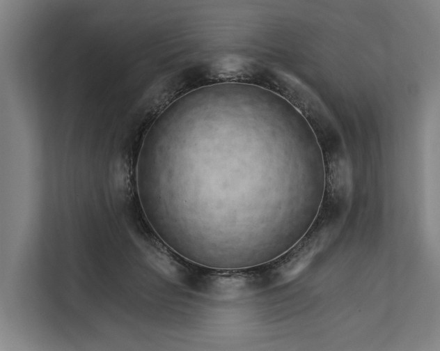 X0000111930653200908101143