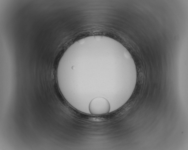 X0000111930654200908101143