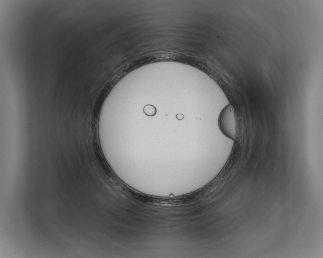 X0000111930655200908101143