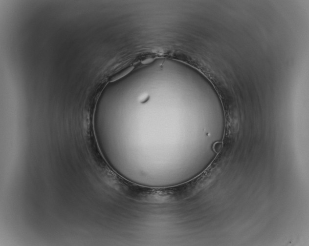 X0000111930656200908101143