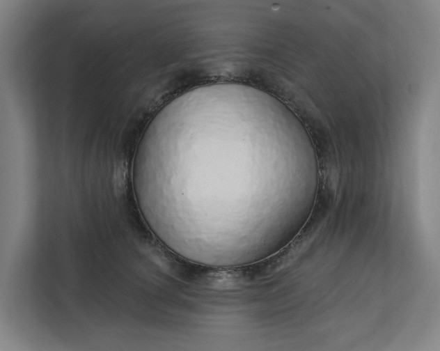 X0000111930660200908101143