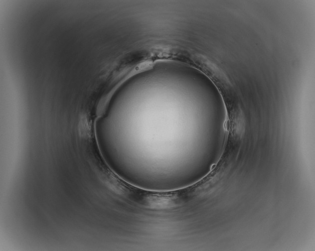 X0000111930661200908101143