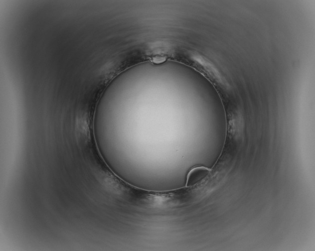 X0000111930662200908101143