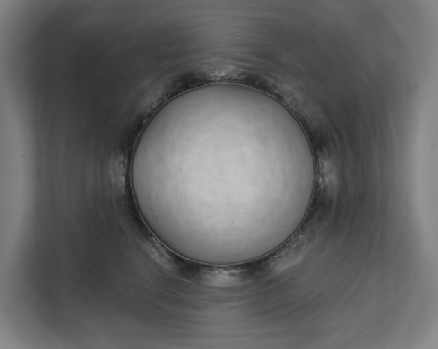 X0000111930664200908101143