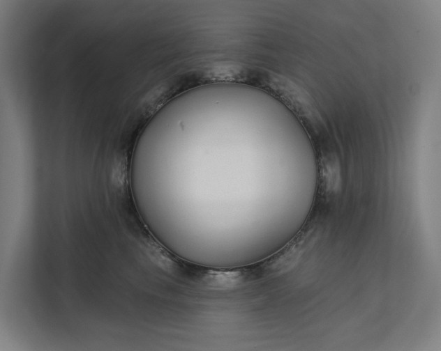 X0000111930665200908101143