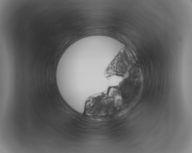 X0000111930669200908101143