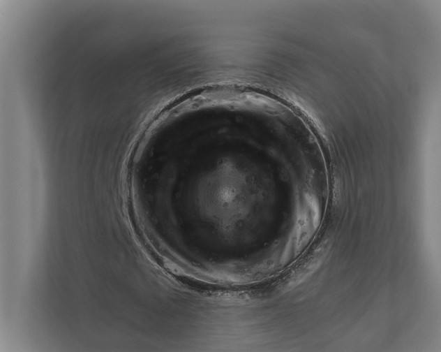 X0000111930673200908101142