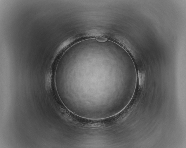 X0000111930675200908101142