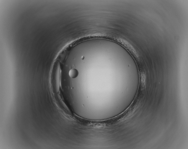 X0000111930676200908101142