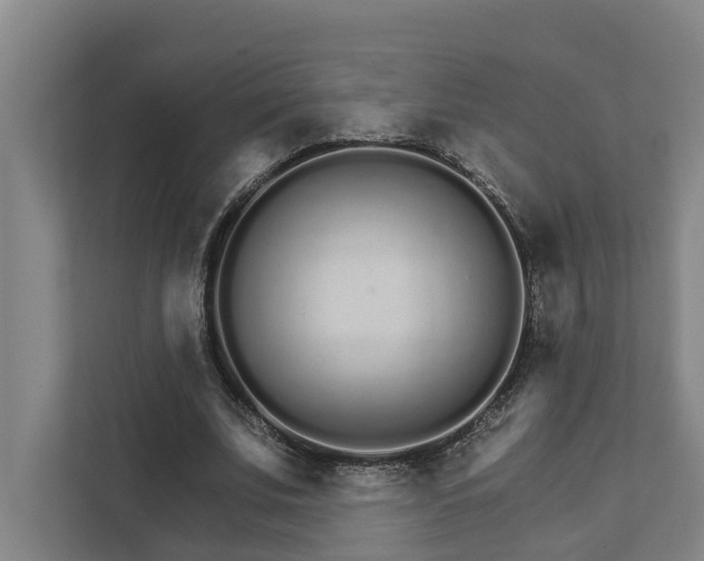 X0000111930679200908101142