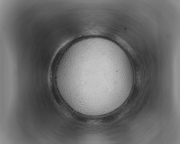 X0000111930680200908101142