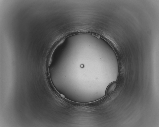 X0000111930681200908101142