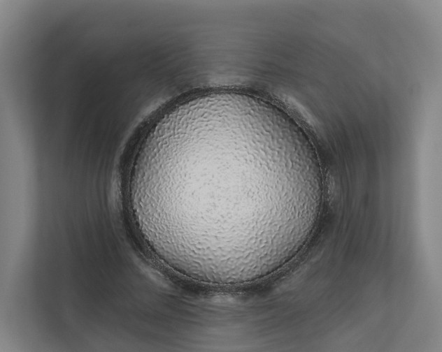 X0000111930684200908101142