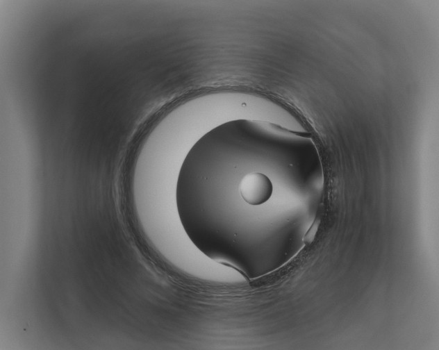 X0000111930688200908101142