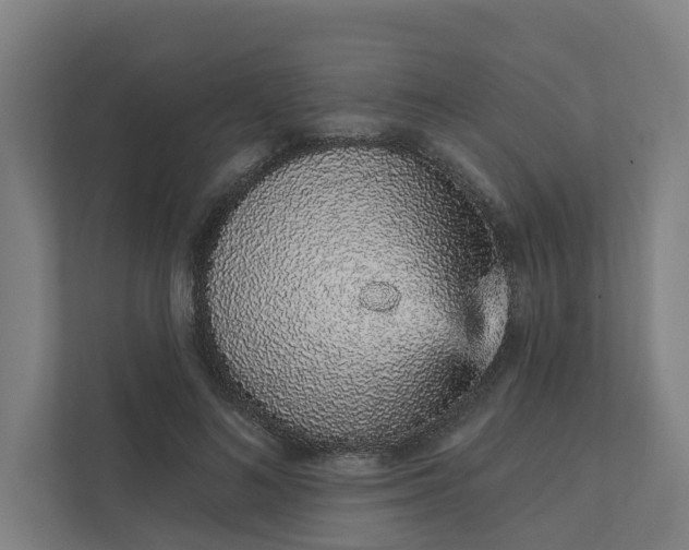 X0000111930692200908101142