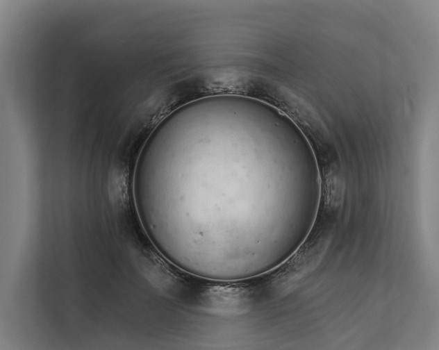 X0000111930699200908101142