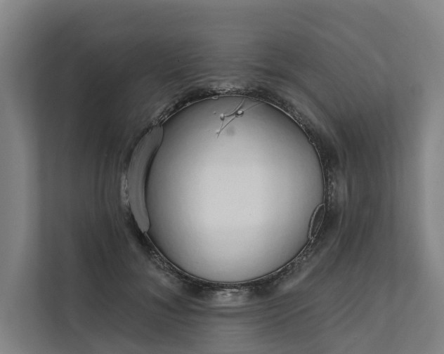 X0000111930700200908101142