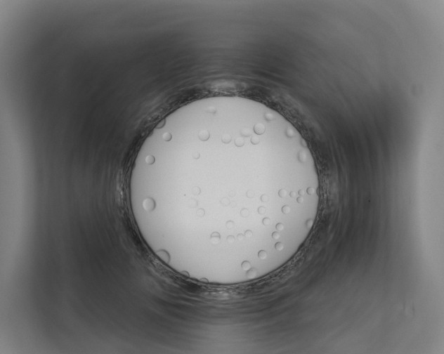 X0000111930702200908101142