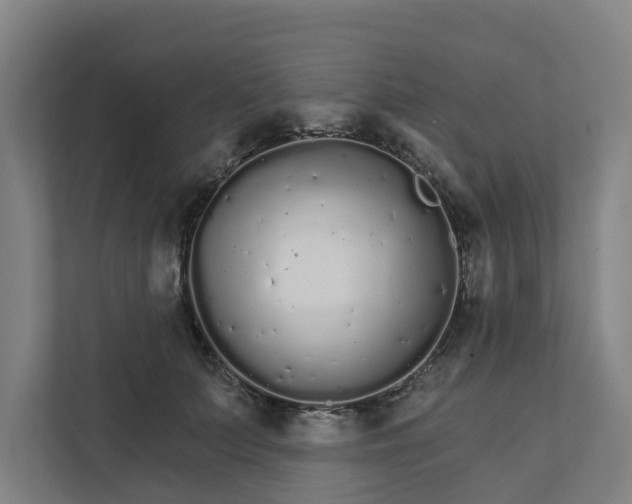 X0000111930703200908101142