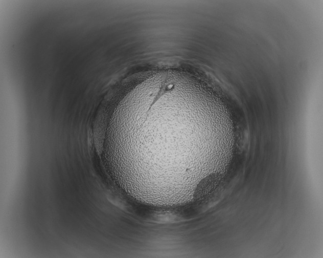 X0000111930704200908101142