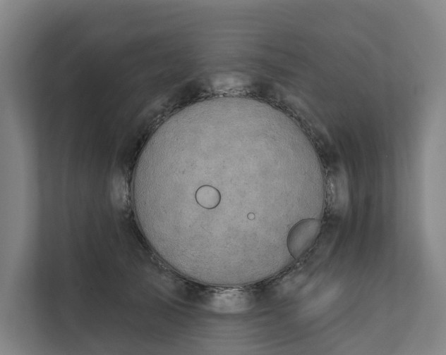 X0000111930705200908101142