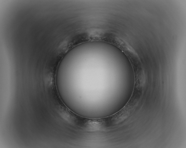 X0000111930706200908101142