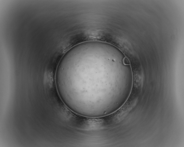 X0000111930707200908101142