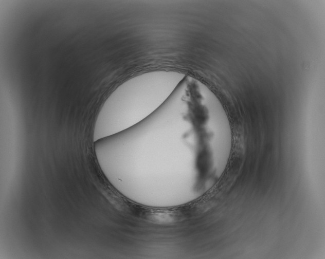 X0000111930710200908101142