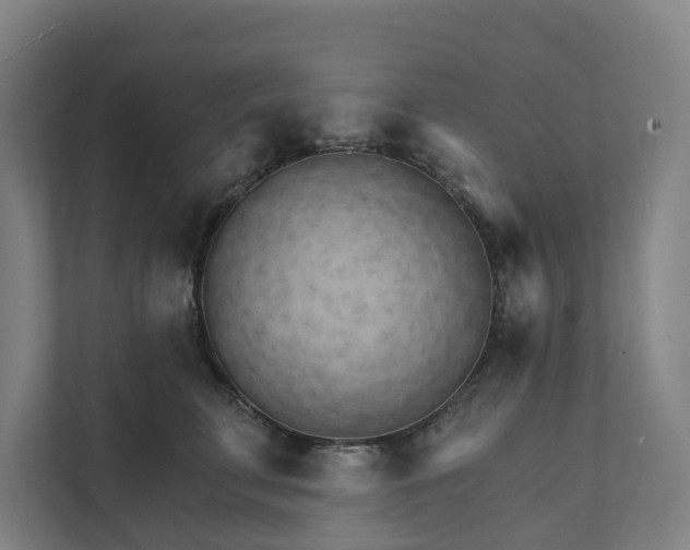 X0000111930711200908101142