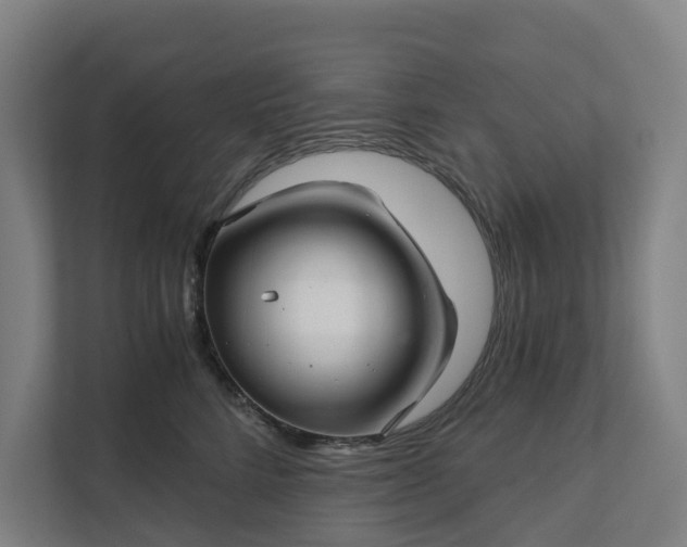 X0000111930712200908101142